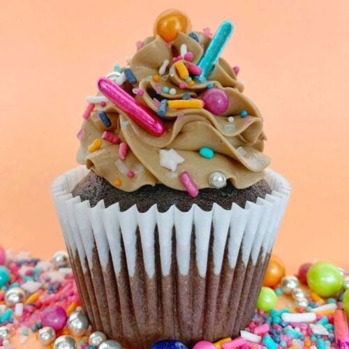 Chocolate Cupcakes with sprinkles