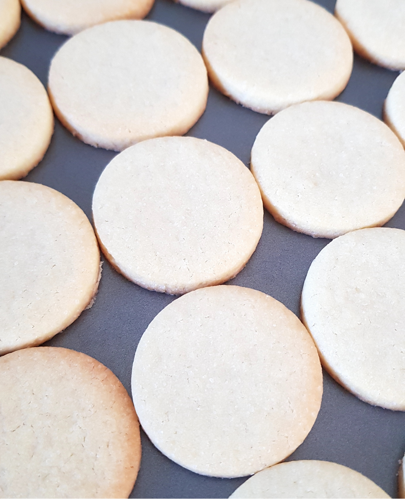 Sugar Cookies Recipe