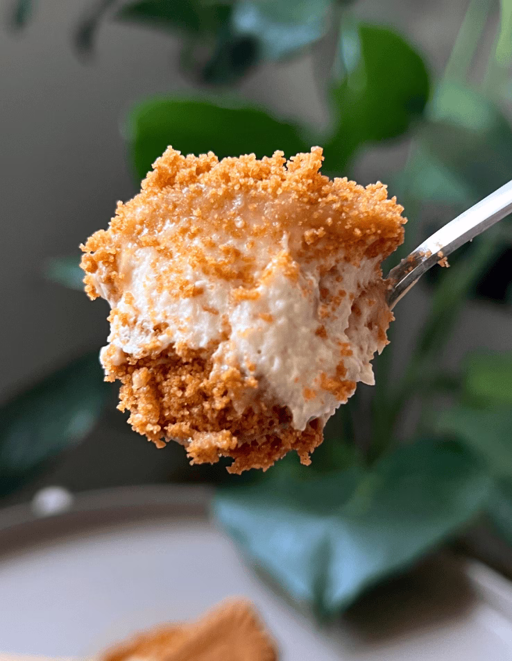 spoonful of eggless biscoff cheesecake