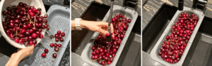 draining and rinsing cherries to remove residue from washing