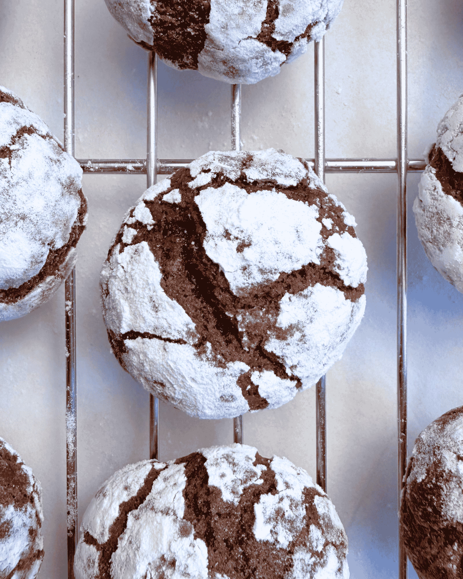 chocolate crinkle cookies for christmas